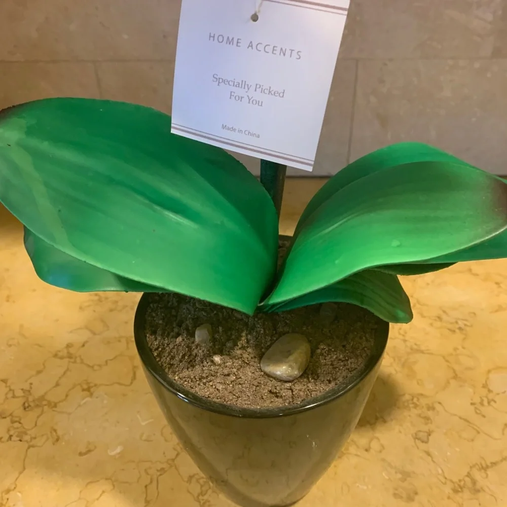 Home accent orchid flower nwt